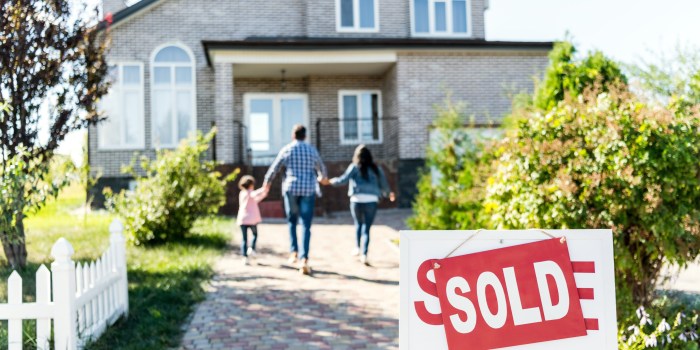 HOUSE SOLD WITH UNKNOWN OCCUPANTS_BED BUGS
